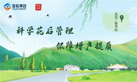 ĴհΤվٷڼſչ塱ʵ