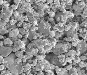 bevictorΰµÂ¹ÙÍø - ΤµÂ¹Ù·½ÍøÕ¾