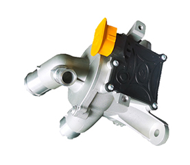 bevictorΰµÂ¹ÙÍø - ΤµÂ¹Ù·½ÍøÕ¾