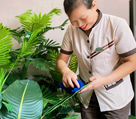 bevictor伟德官网 - 韦德官方网站